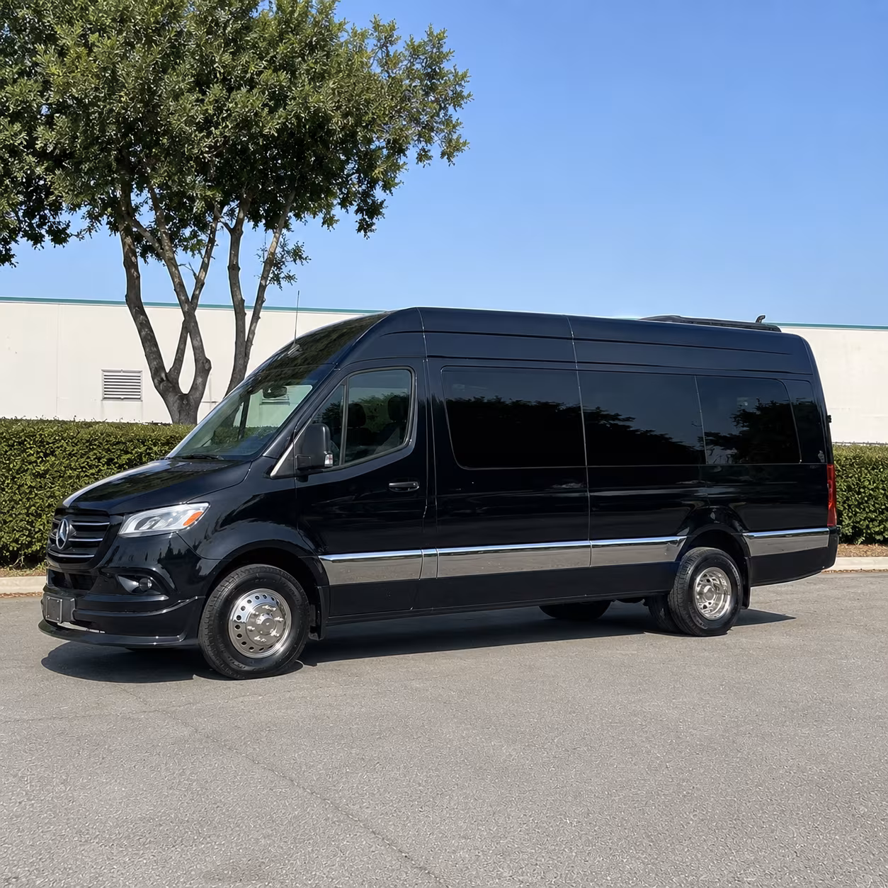 14 Passenger Sprinter Limo
