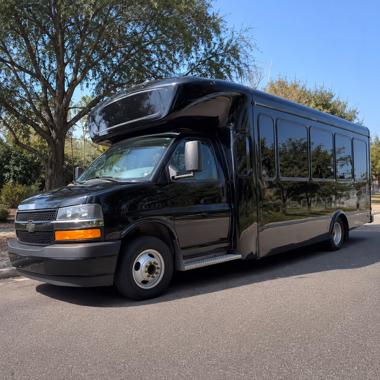 Thornton Birthday, Sweet 16, & Quinceañera Party Bus Rentals