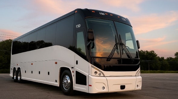 colorado springs bachelor and bachelorette party bus rentals